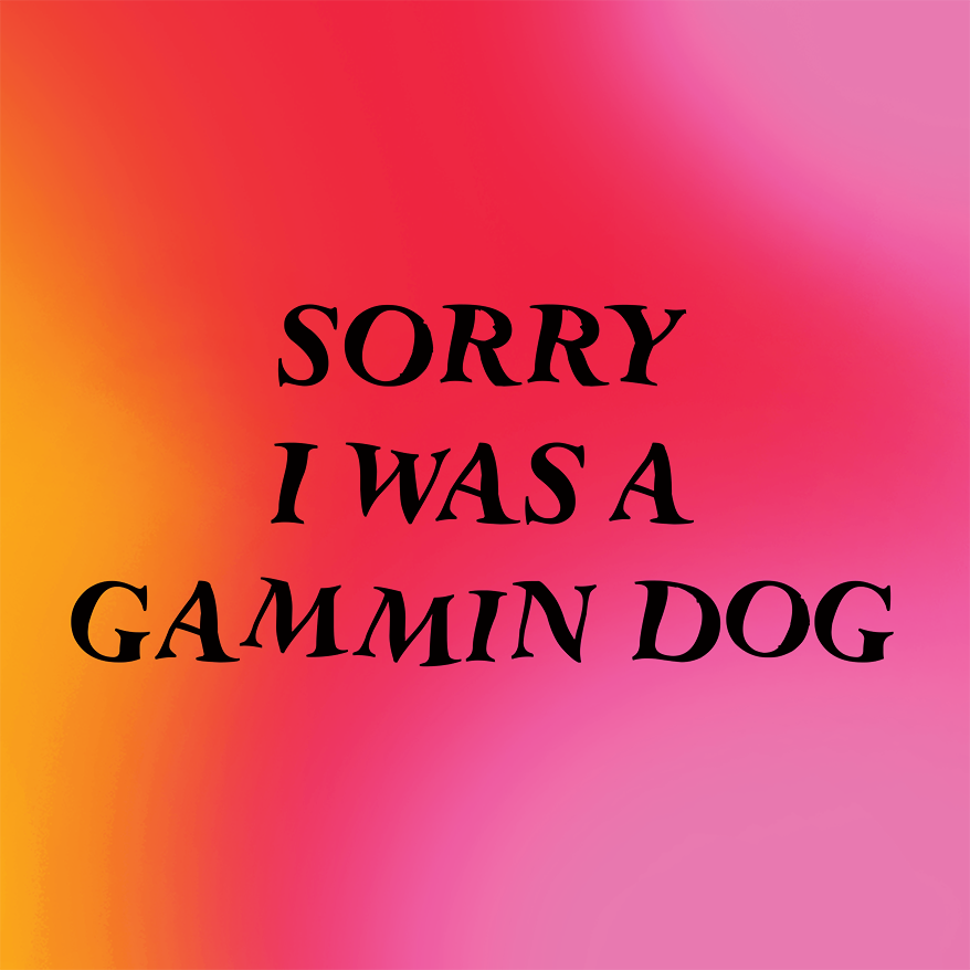 Gradient background with Sorry I was a Gammin Dog apology text